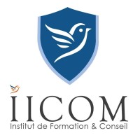 Institut IICOM logo - Similar company to Institut Iicom