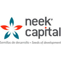 Neek' Capital logo - Similar company to X4 Company Builders