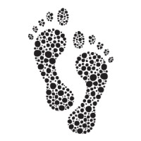 Sole Options Socks logo - Similar company to Turtle'S Soup