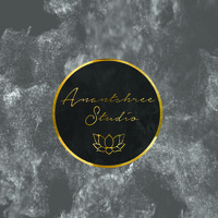 Anantshree Studio logo - Similar company to Musicdevs