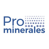 Prominerales  SAS logo - Similar company to Topometrica