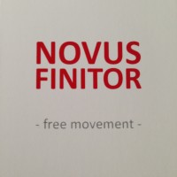 Novus Finitor B.V. logo - Similar company to Epik Systems