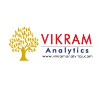 Vikram Analytics logo - Similar company to Mega Techzy