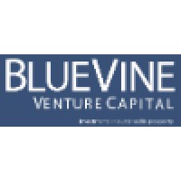 BlueVine Ventures logo - Similar company to Sunshine In Interaction