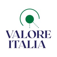 VALORE ITALIA Impresa Sociale logo - Similar company to Archetype Ai Knowledge Lab