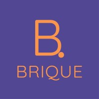 BRIQUE MANAGERS logo - Similar company to Learning Lagoon - Formation De Formateurs