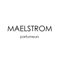 MAELSTROM logo - Similar company to Trends Lab