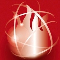 LOIRE INCENDIE SECURITE RHONE ALPES logo - Similar company to Advmi