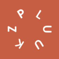 Pluukz logo - Similar company to Tbb Express B.V.