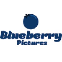 Blueberry Pictures logo - Similar company to Boost Video
