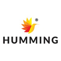 Humming logo - Similar company to Sigma Quantiphi
