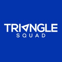 Triangle Squad logo - Similar company to Innowys