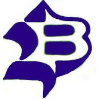 Besco Limited logo - Similar company to Lt Parksmart