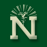 Noronha logo - Similar company to Murici