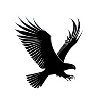 Tampe Consulting Pty Ltd logo - Similar company to Ontic Ortho Solutions Pty Ltd