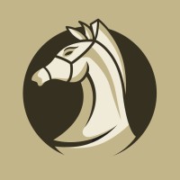 Two Player Chess (Tablet and Mobile App) logo - Similar company to Reps