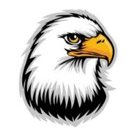 TeamForce Security Service logo - Similar company to Optimal Security & Services Sdn Bhd