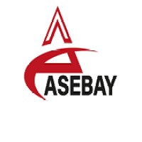 Asebay Ar-Ge Sağlık Bilişim Limited Şirketi logo - Similar company to Pandsoft Yazılım