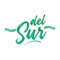 Del Sur Export Import logo - Similar company to Longart Consulting