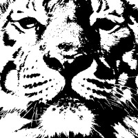 Tijgersoftware logo - Similar company to Stemgon