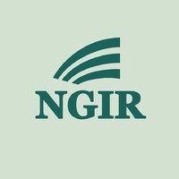 NGIR logo - Similar company to Gulating