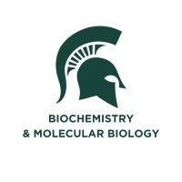 Michigan State University Department of Biochemistry & Molecular Biology logo - Similar company to Michigan State University Department Of Physiology