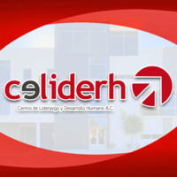 Centro de Liderazgo y Desarrollo Humano, A. C. logo - Similar company to Direchisa