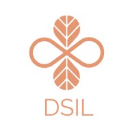 DSIL Global logo - Similar company to Jet Set State