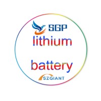 Shenzhen Giant Power Co., Ltd.