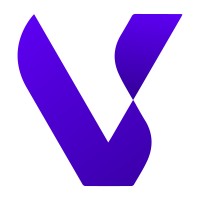 ViraliTik logo - Similar company to Web Vision