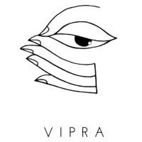 Vipra Simulation Services logo - Similar company to Wittychamps Llp