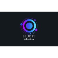 Blue IT Selection logo - Similar company to Work Life Group