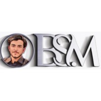 BSM Tech & Trade Hub logo - Similar company to Ananda Tech Group Limited