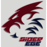 EgeSiber logo - Similar company to Ege Siber Bilişim Teknolojileri