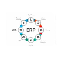 ERPNext Insight Business Solutions logo - Similar company to Depple