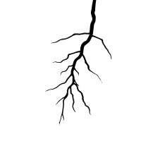 VeriRoot logo - Similar company to Watershed Science & Engineering