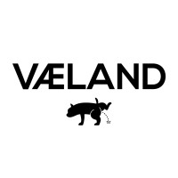 Vaeland España logo - Similar company to Reframe