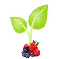 AGRONACER FRUITAND BERRIES S.P.R. DE R.L. DE C.V. logo - Similar company to Susor México