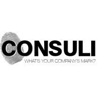 Consuli B.V. logo - Similar company to Double Digit - Growing Through Experience
