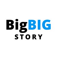 Big Big Story logo - Similar company to Onecity Digital