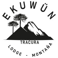 EKUWÜN logo - Similar company to Prace