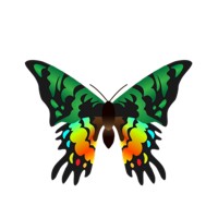 Rhipheus LLC logo - Similar company to Cloudlene Technologies Pvt. Ltd.