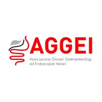 AGGEI logo - Similar company to Sigenp