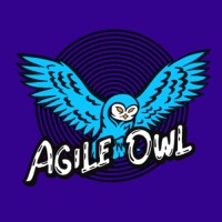 The Agile Owl logo - Similar company to Studio Desinn