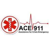 ACE911 logo - Similar company to Susan Swartz Studios