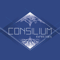 CONSILIUM EXPERTISES logo - Similar company to Strat3Gia