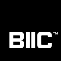 Black Insurance Industry Collective logo - Similar company to Canadian Association Of Black Insurance Professionals (Cabip)