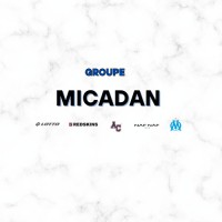 Micadan logo - Similar company to Trendsource Distribution