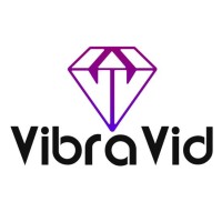 VibraVid logo - Similar company to The Vlog Sounds