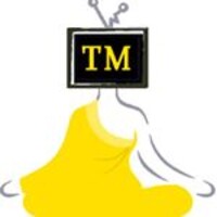 Techmonks.online logo - Similar company to 7Arts